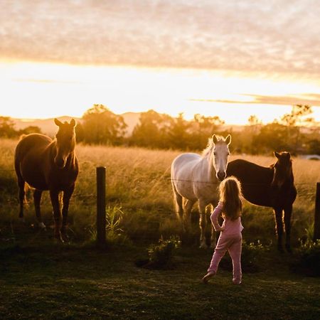 Willa Fernhill Guest Farm Knysna Zewnętrze zdjęcie