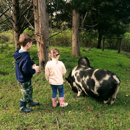 Willa Fernhill Guest Farm Knysna Zewnętrze zdjęcie