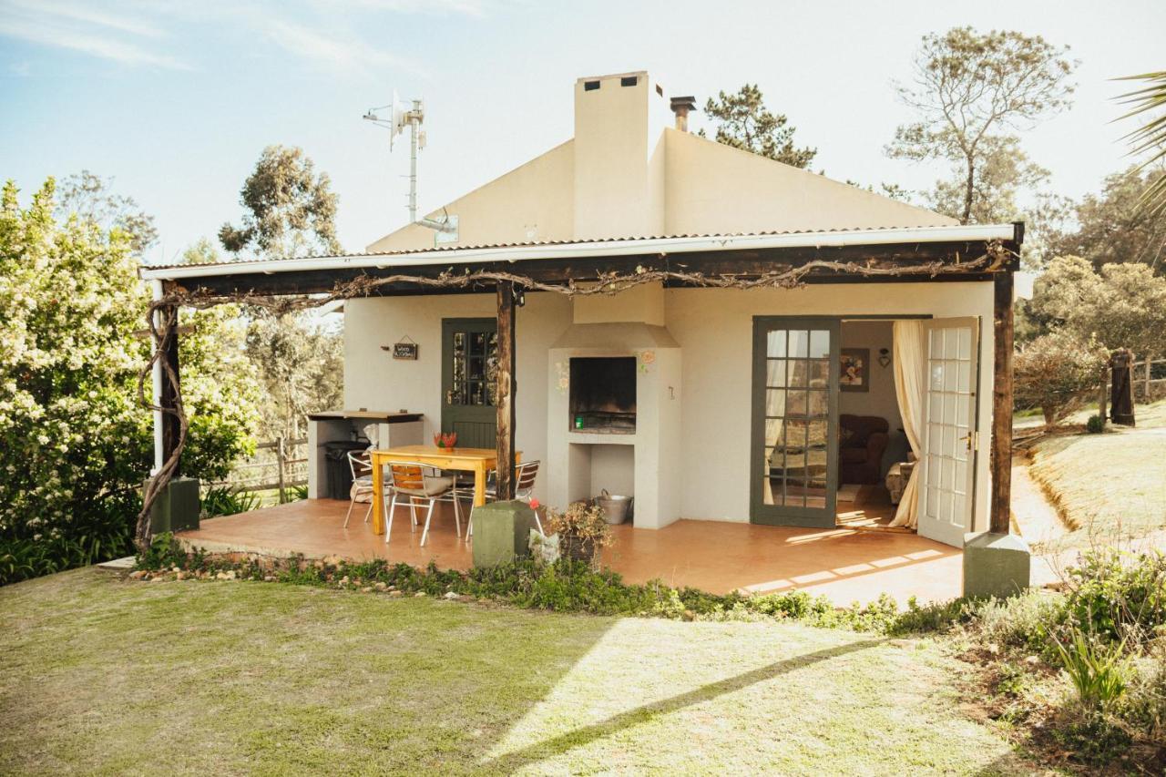 Willa Fernhill Guest Farm Knysna Zewnętrze zdjęcie