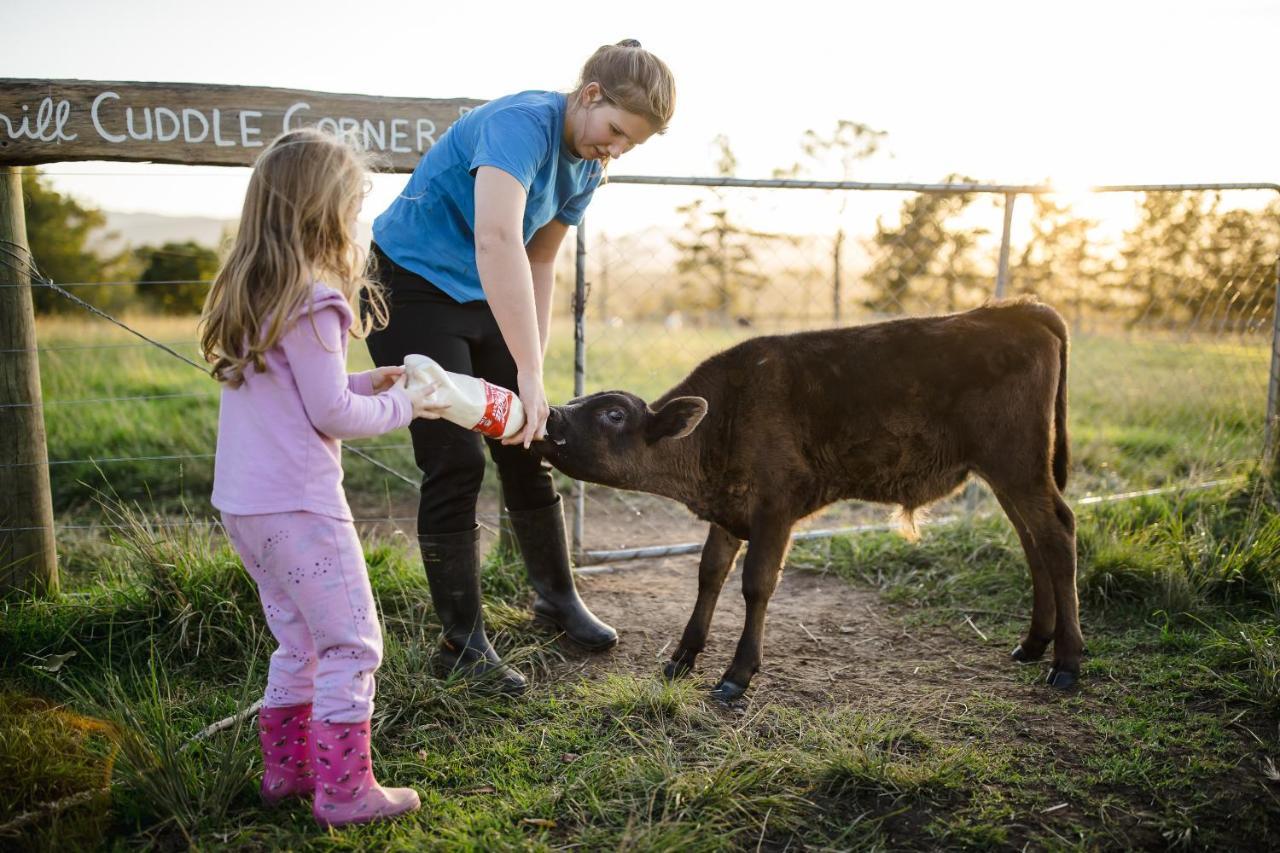Willa Fernhill Guest Farm Knysna Zewnętrze zdjęcie