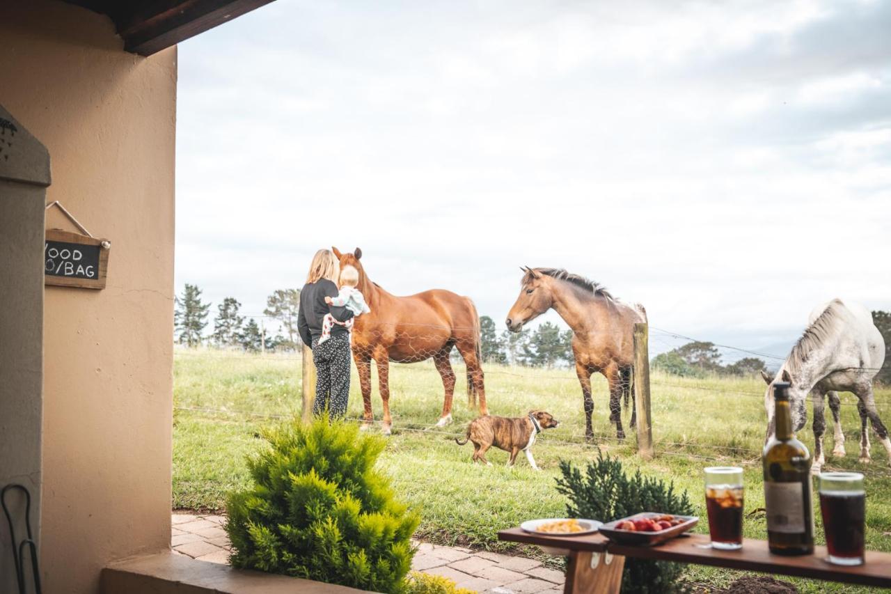 Willa Fernhill Guest Farm Knysna Zewnętrze zdjęcie