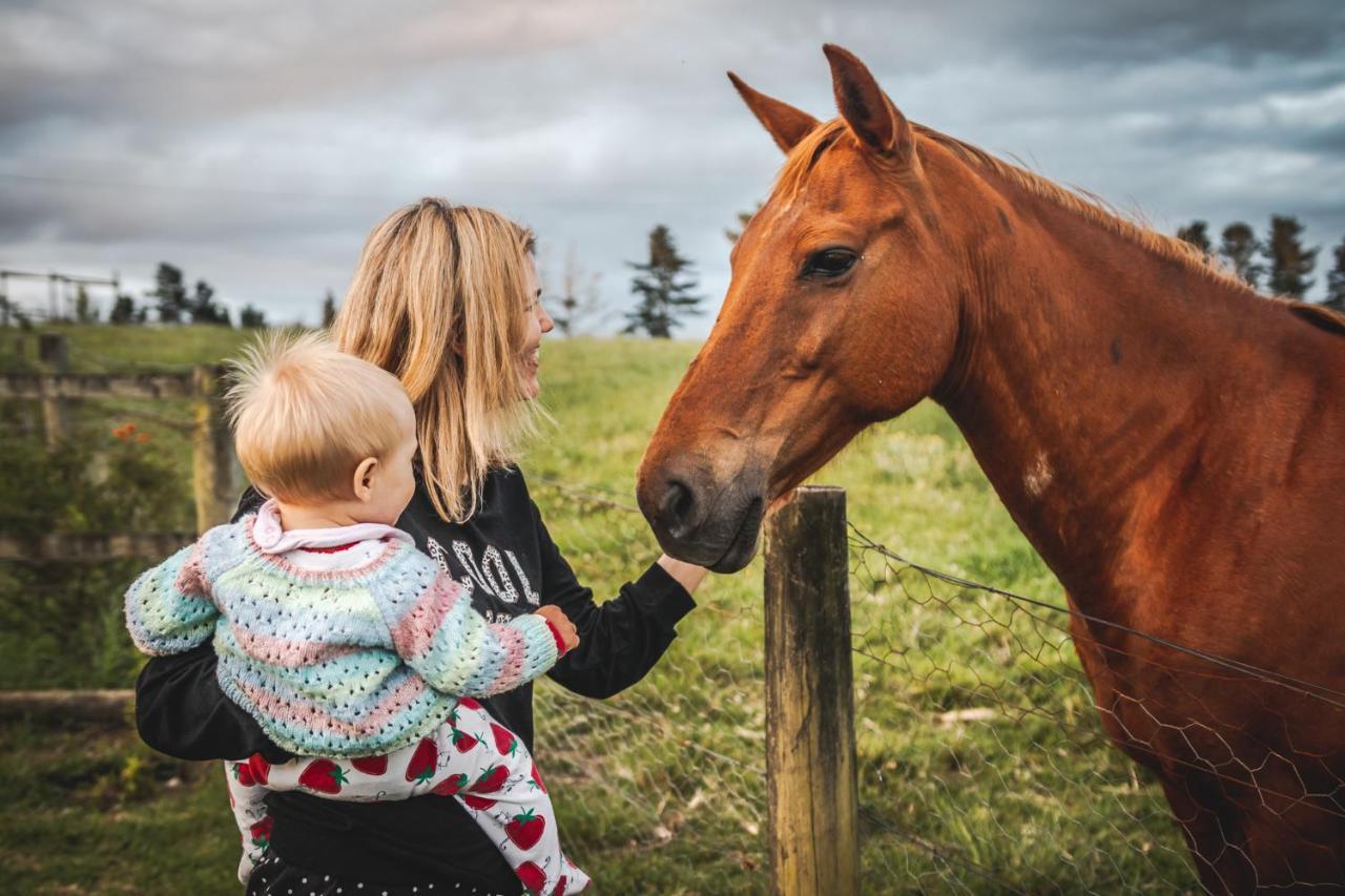 Willa Fernhill Guest Farm Knysna Zewnętrze zdjęcie