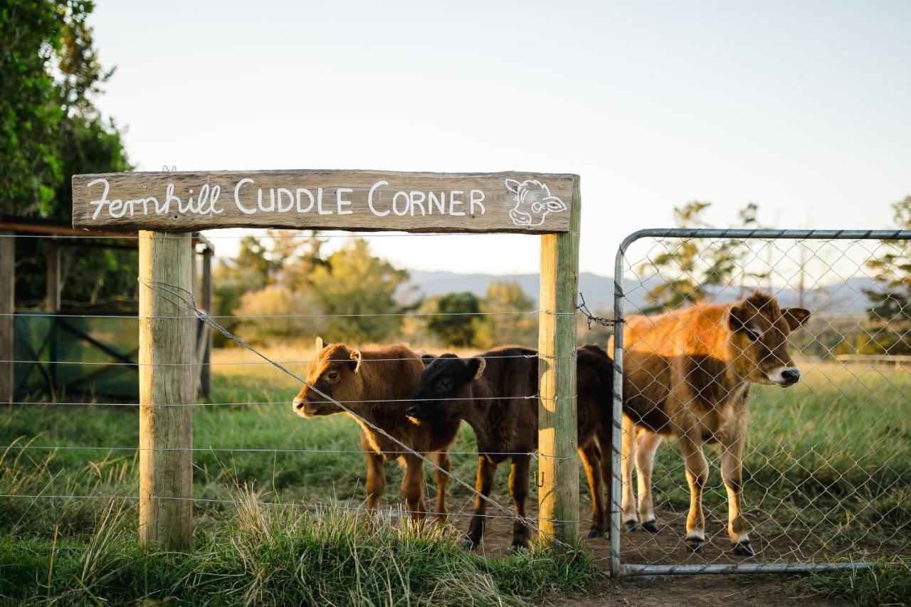 Willa Fernhill Guest Farm Knysna Zewnętrze zdjęcie