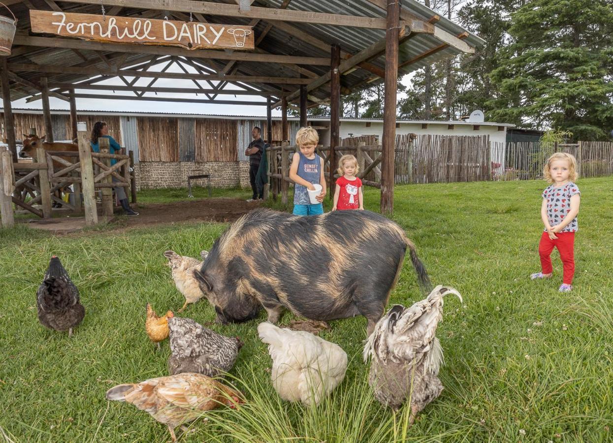Willa Fernhill Guest Farm Knysna Zewnętrze zdjęcie