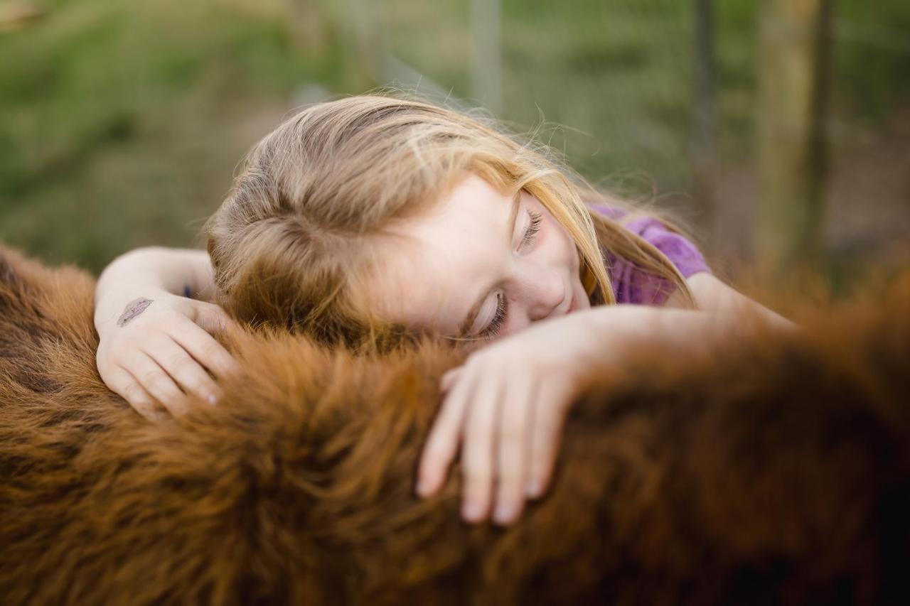 Willa Fernhill Guest Farm Knysna Zewnętrze zdjęcie