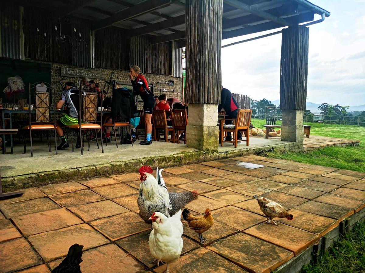 Willa Fernhill Guest Farm Knysna Zewnętrze zdjęcie