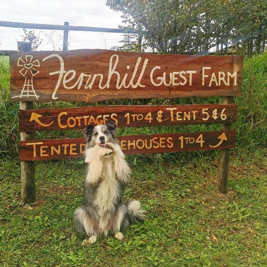 Willa Fernhill Guest Farm Knysna Zewnętrze zdjęcie