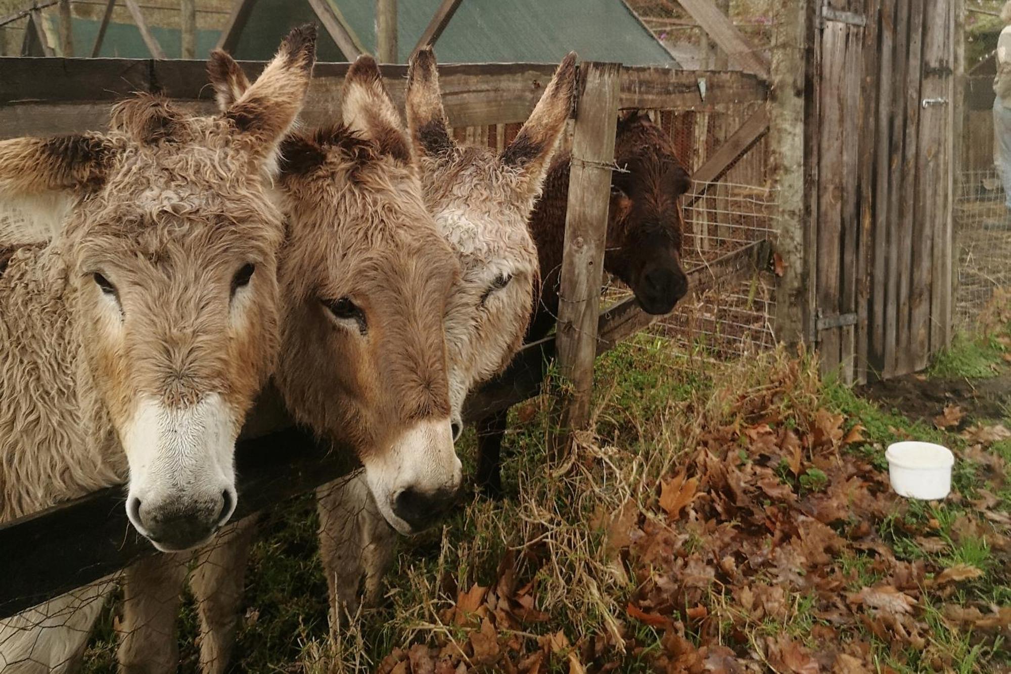 Willa Fernhill Guest Farm Knysna Zewnętrze zdjęcie