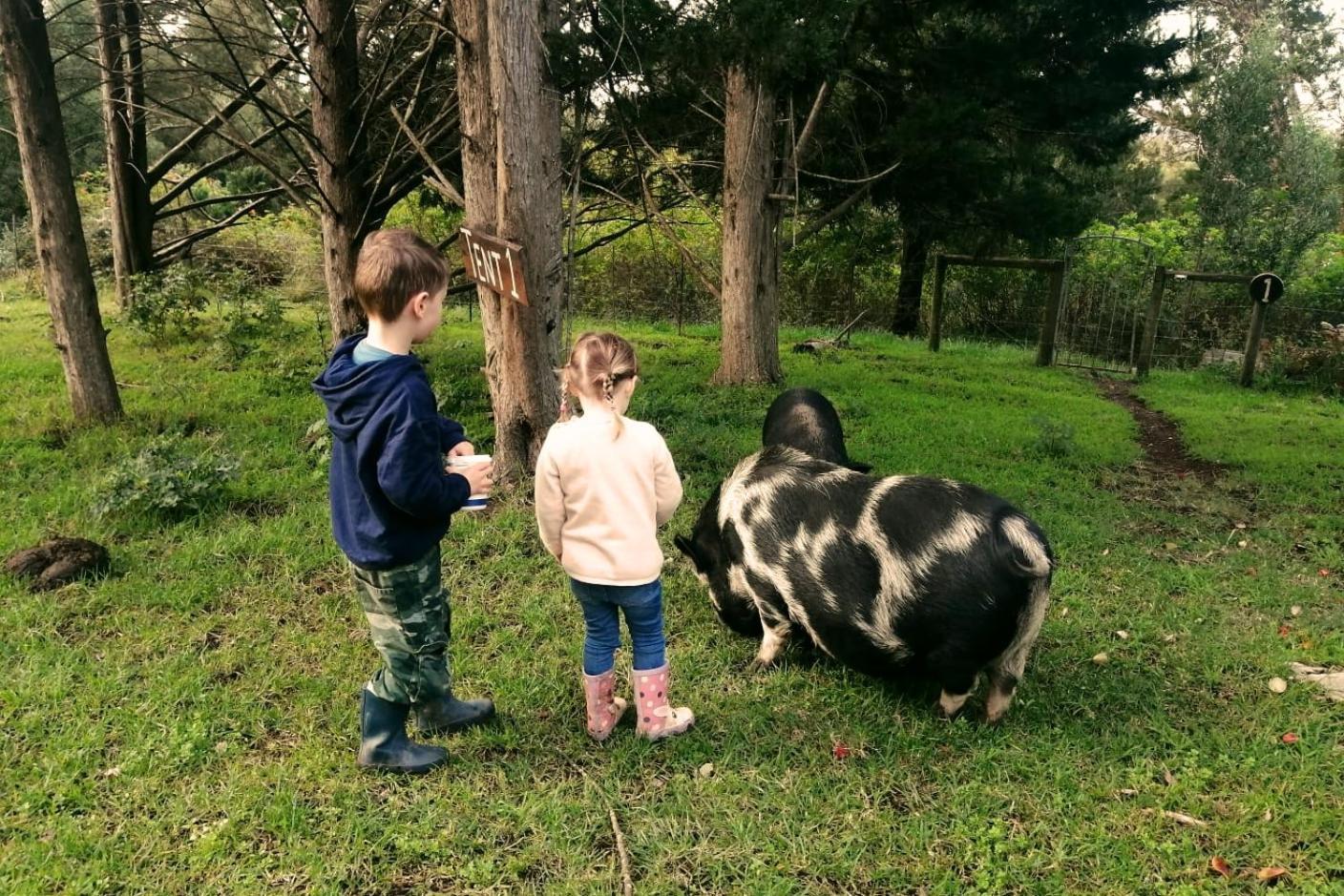 Willa Fernhill Guest Farm Knysna Zewnętrze zdjęcie
